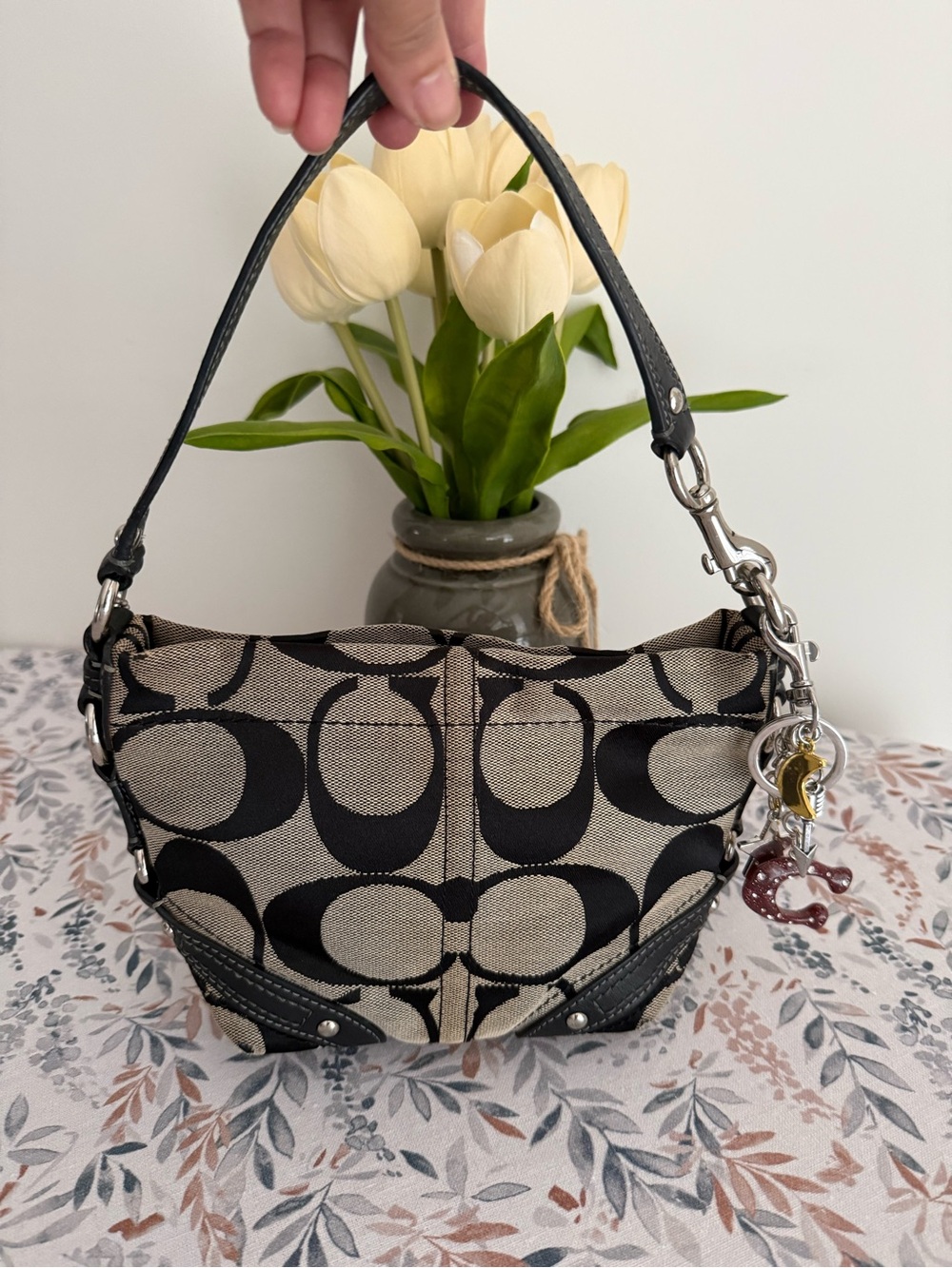 Coach signature Mini Carly